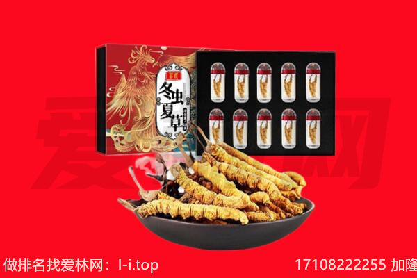 汕头澄海区回收虫草.jpg